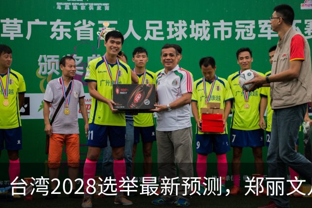 台湾2028选举最新预测，郑丽文几率大增，蒋韩有七寸，卢秀燕出局
